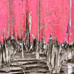 The Danger of Dry Rot For Your Seaside Condo